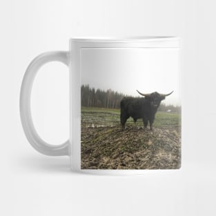 Scottish Highland Cattle Bull 1845 Mug